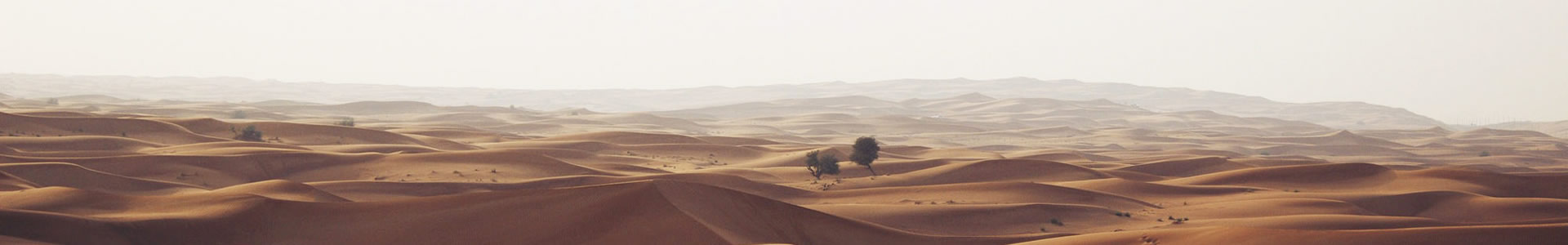 ɽеó޹˾